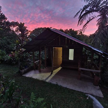 Cabana Maquique - San Vito San Ramon (Puntarenas) Exterior photo