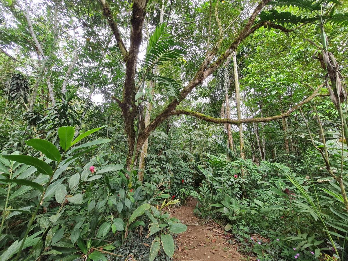 Cabana Maquique - San Vito San Ramon (Puntarenas) Exterior photo