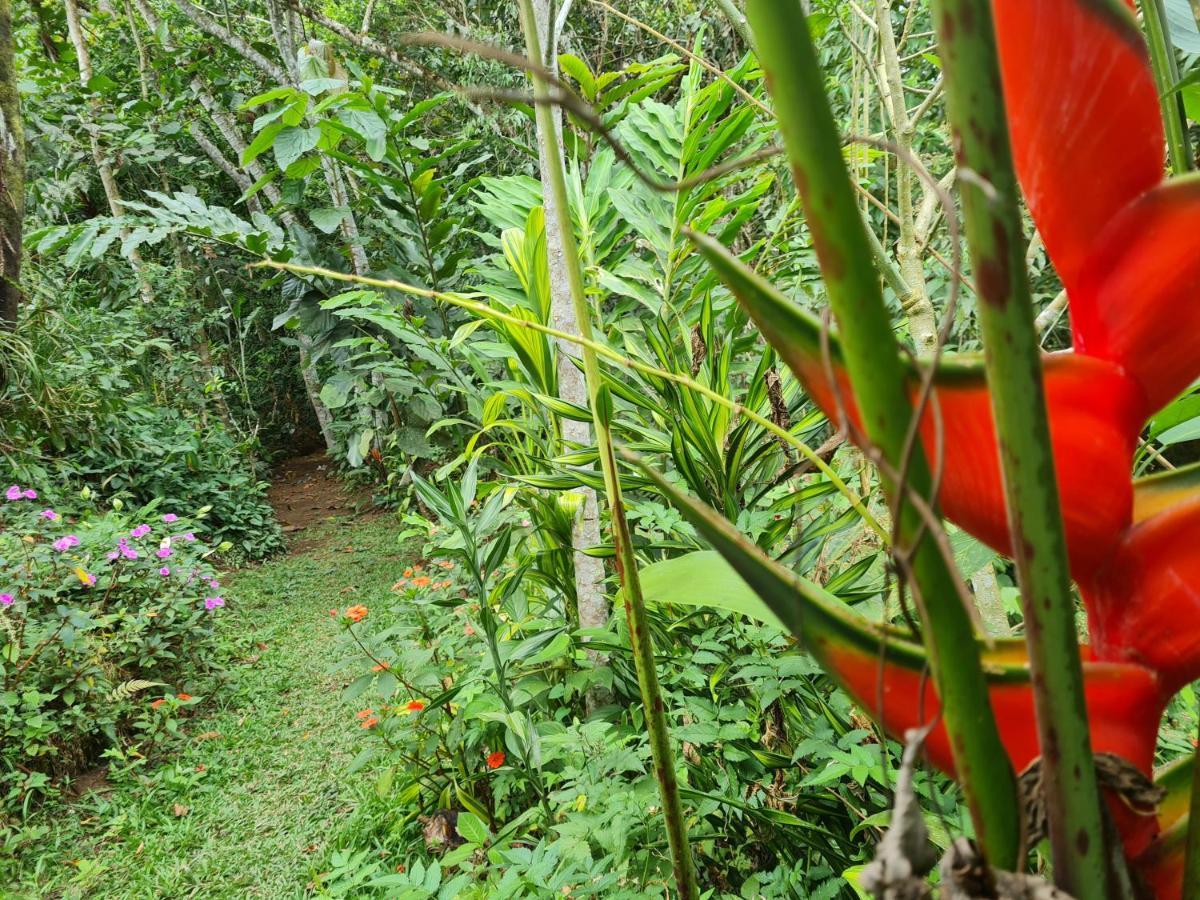 Cabana Maquique - San Vito San Ramon (Puntarenas) Exterior photo