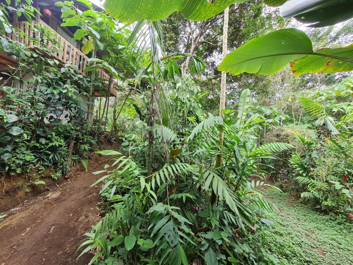 Cabana Maquique - San Vito San Ramon (Puntarenas) Exterior photo