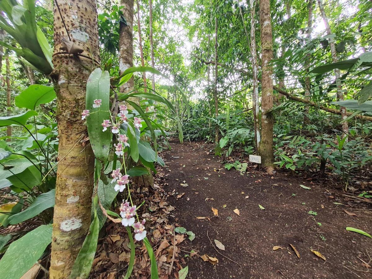 Cabana Maquique - San Vito San Ramon (Puntarenas) Exterior photo