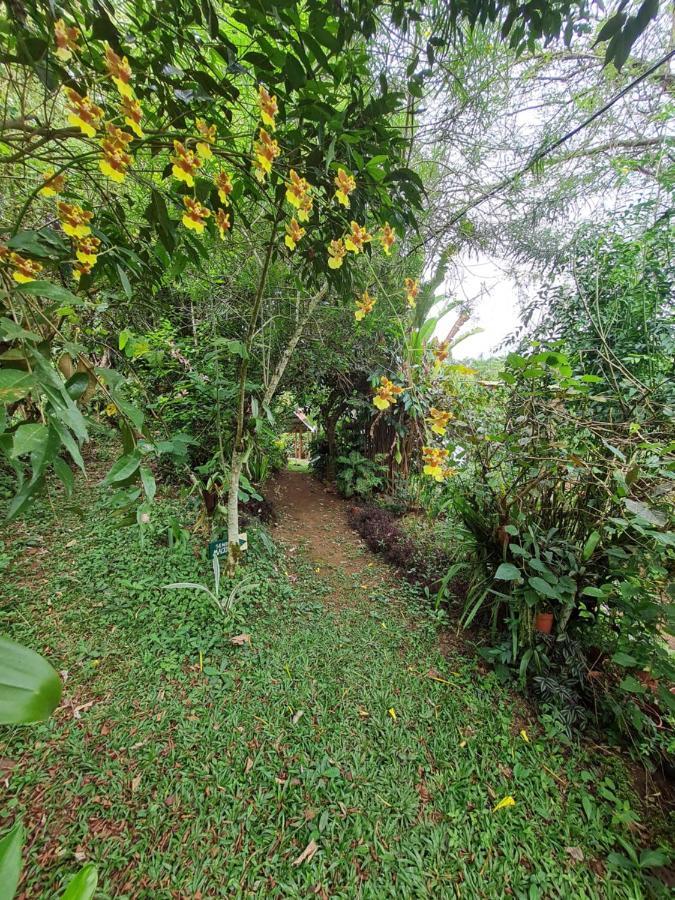 Cabana Maquique - San Vito San Ramon (Puntarenas) Exterior photo
